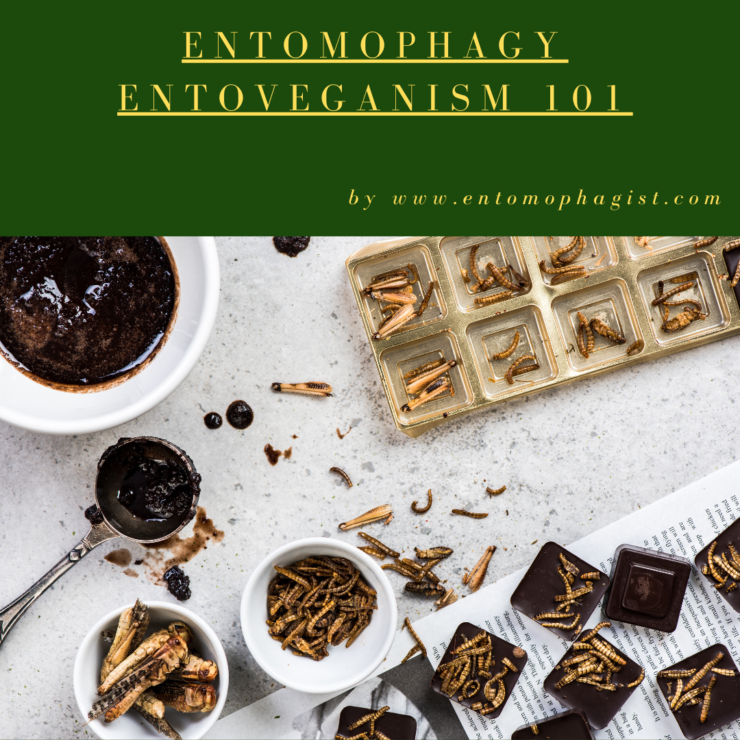 Entovegan Delight: Chef Luciano's Tasty-Crawlers Chocolate Fondue Recipe