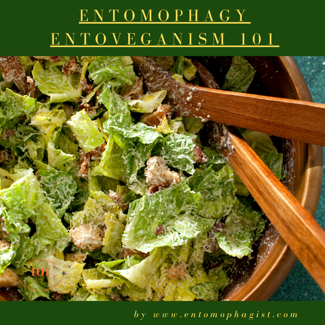 Entovegan Delight: Chef Luciano's Easy Caesar & Crunchy Cricket Stir-Fry Recipe Creation