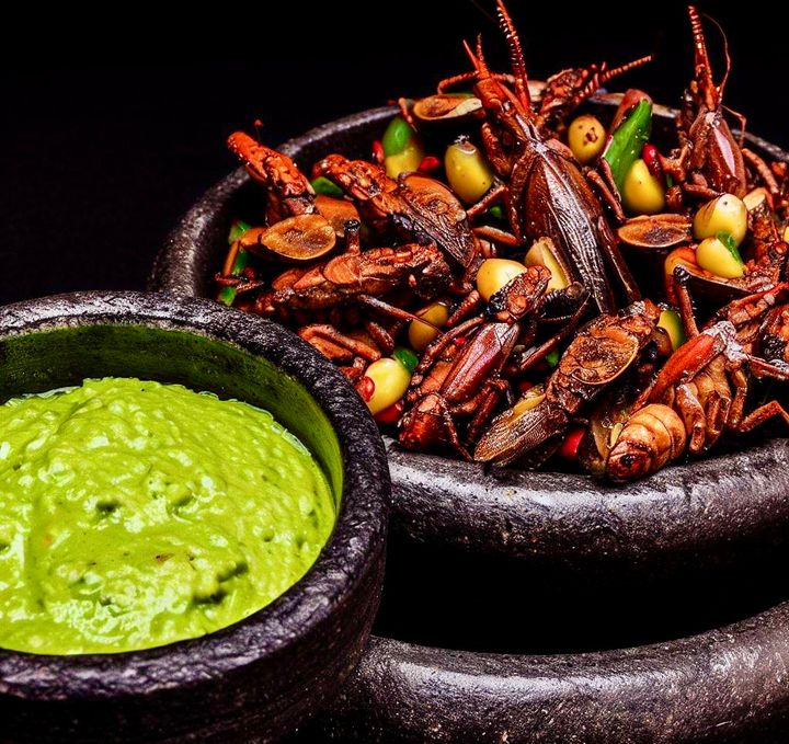 Chef Luciano’s Entomophagy-Vegan Authentic Grasshopper Guac Recipe
